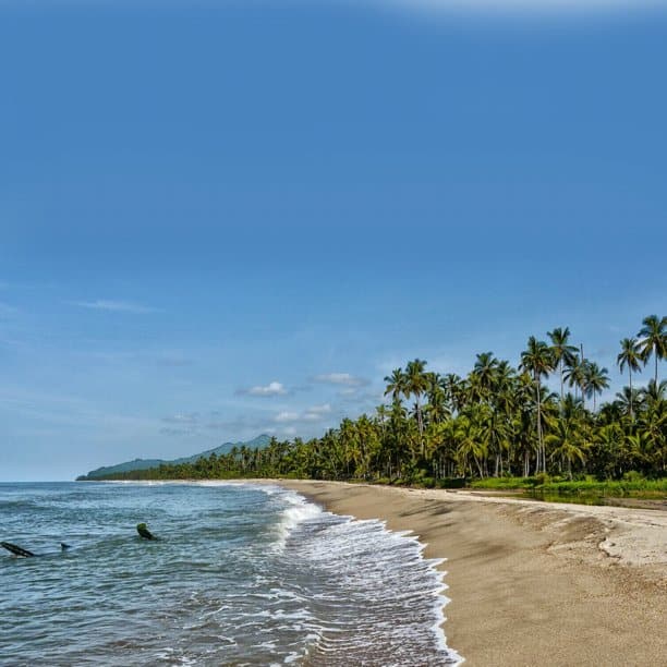 Cartagena / Palomino