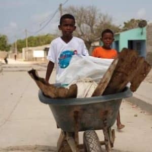 | IMG 20200929 163704 e1601585171409 Arca de Noe